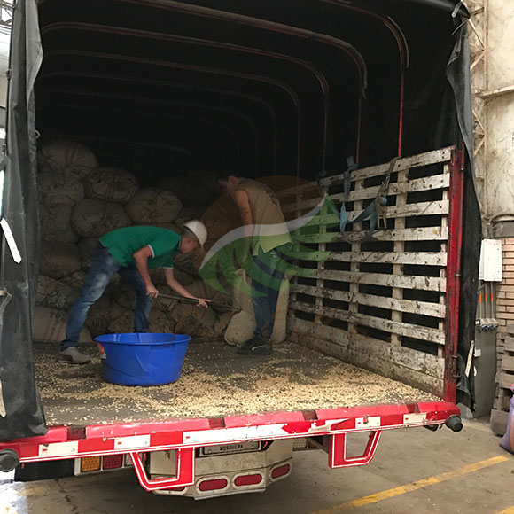 哥倫比亞安蒂奧基亞