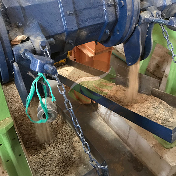 衣索匹亞西達摩G1